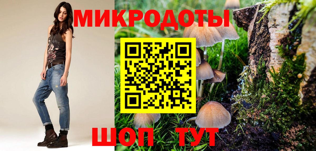 Псилоцибиновые грибы мицелий Кировск