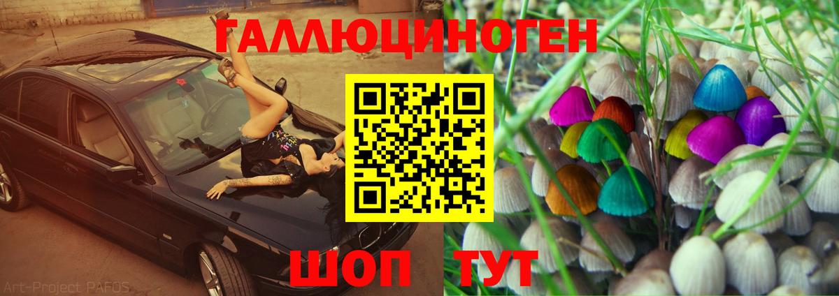 Кировск  Галлюциногенные грибы Psilocybine cubensis  Вход с VPN 